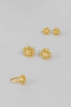 Dipua Anel Cactus