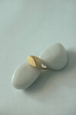 Dipua Anel Gota