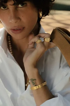 Dipua Anel Paladino