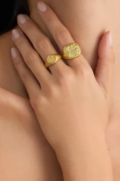 Dipua Anel Paladino