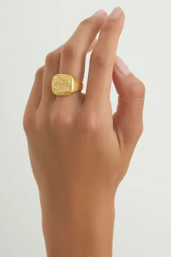 Dipua Anel Paladino
