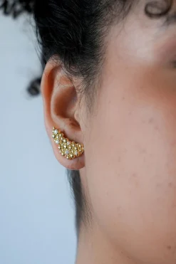 Dipua Brinco Aya