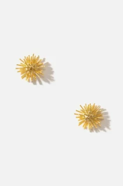 Dipua Brinco Cactus Mini