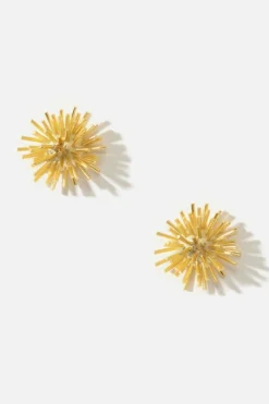 Dipua Brinco Cactus