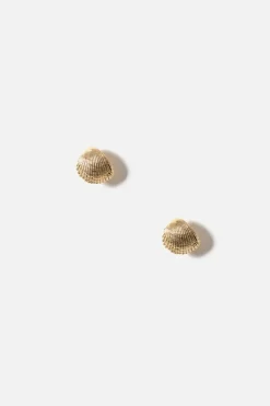 Dipua Brinco Shell