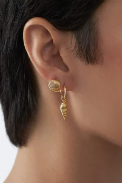 Dipua Brinco Shell