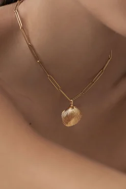 Dipua Pingente Shell