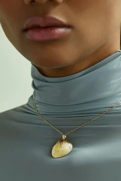 Dipua Pingente Shell