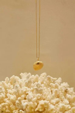 Dipua Pingente Shell