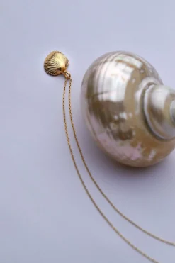 Dipua Pingente Shell